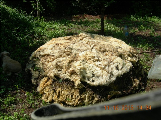 arčilend